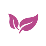 LOGIQUE ENVIRONNEMENTALE ROSE Plan de travail 1 copie 2 1