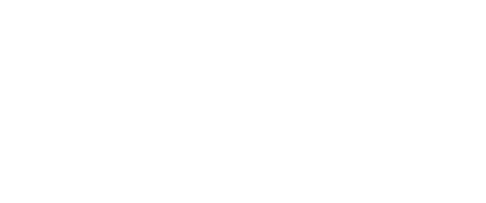 bernicia-logo-footer