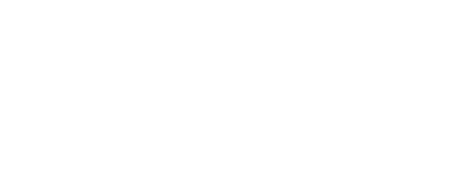 bernicia-logo-footer