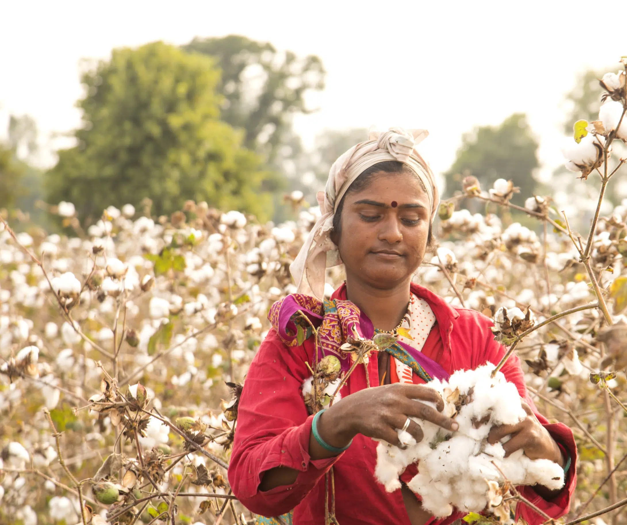 bernicia-stanley-stella-coton-bio-textile-remuneration-travailleurs-bangladesh