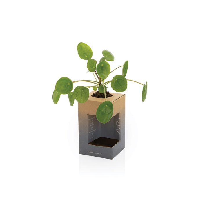 Mug en acier recyclé 300ml – Image 4