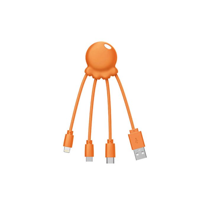 Câble Octopus – Image 3