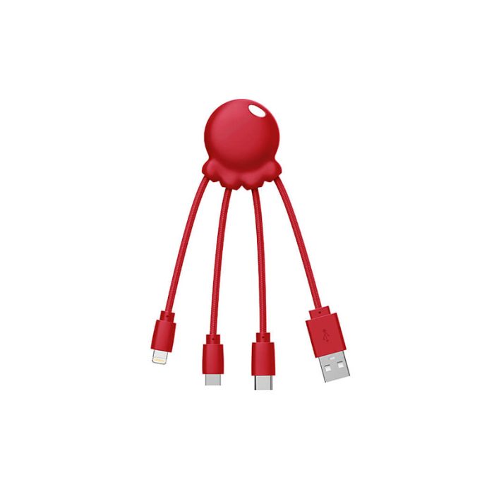 Câble Octopus – Image 4