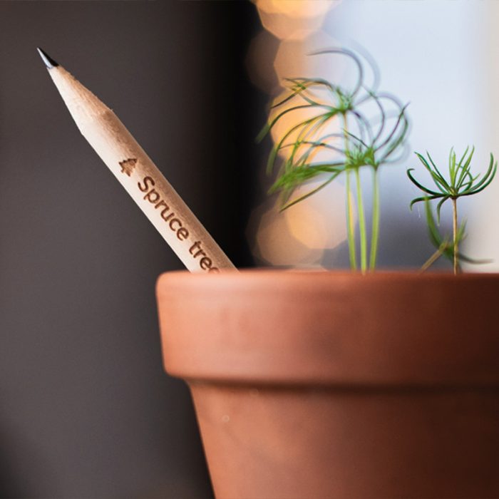Crayon à planter