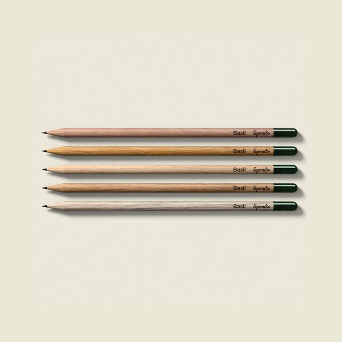 Crayon à planter – Image 2