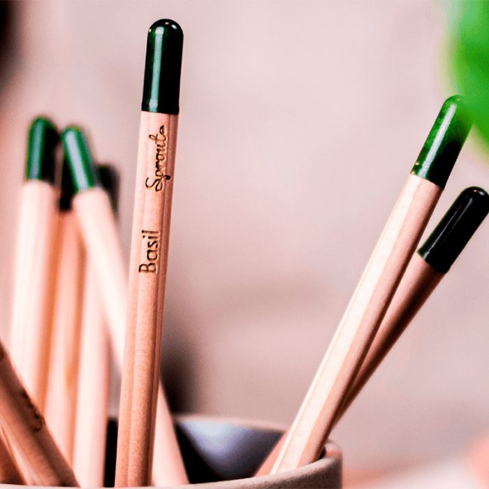 Crayon à planter – Image 5